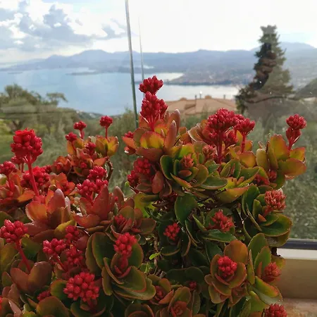 Rizaria Sea View House * Σπαρτύλας